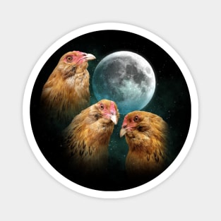 Three Chicken Moon (Ameraucana) Magnet